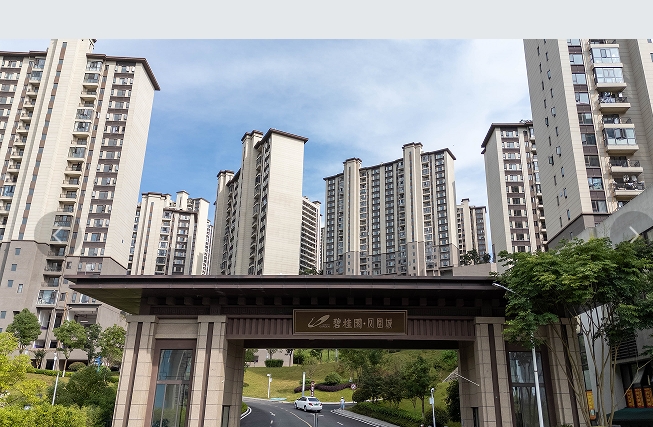 碧桂园·凤凰城项目
